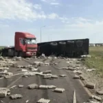 В Тимашевском районе произошла смертельная авария с участием большегруза